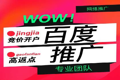 百度信息流广告的实时数据监测与优化案例